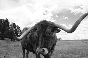 Steer Thumb