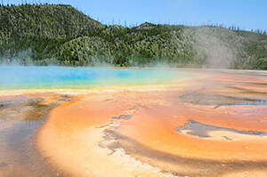 Yellowstone Thumb